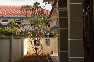 Best Kluang homestay in an orchard special offer now.