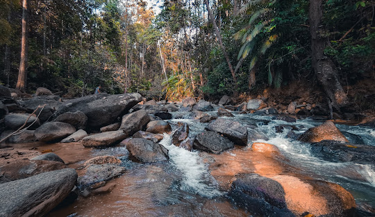 You are currently viewing Guide to Climbing Gunung Lambak and Belumut