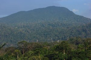 Guide to Climbing Gunung Lambak and Belumut